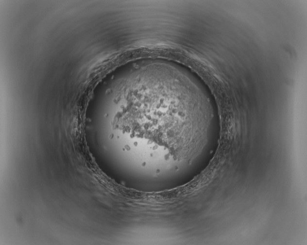 X0000112750966200909031523