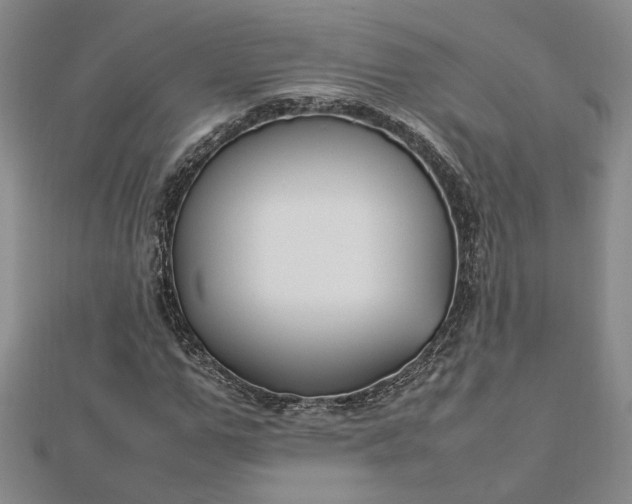 X0000112750967200909031523