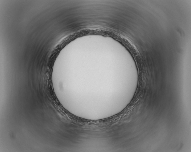 X0000112750968200909031523