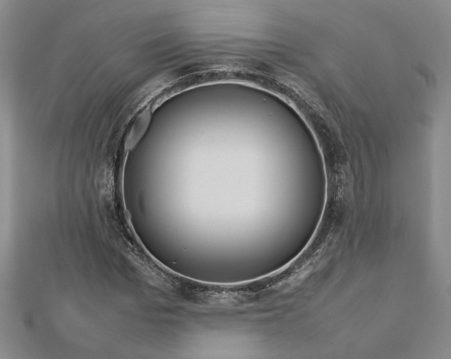 X0000112750969200909031523