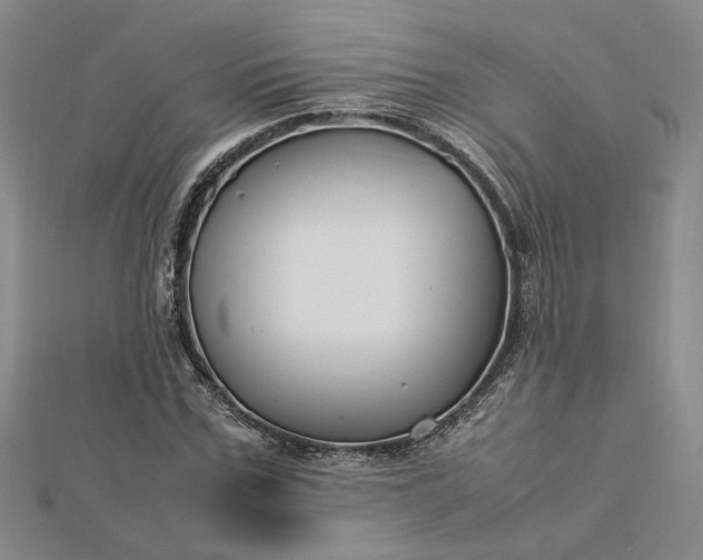 X0000112750971200909031523