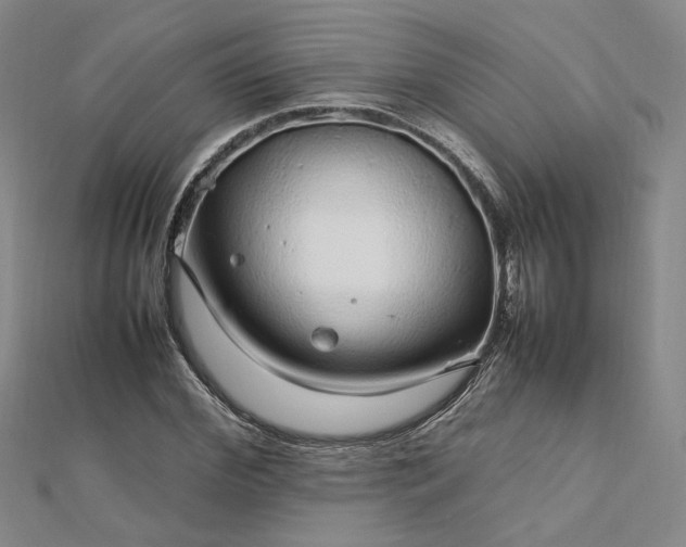 X0000112750972200909031523