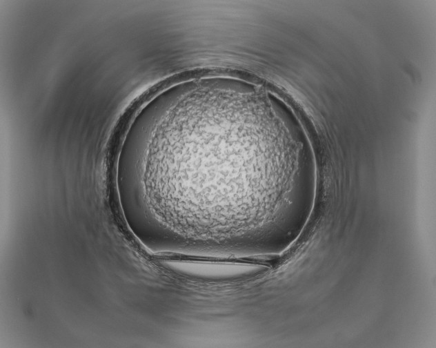 X0000112750975200909031523