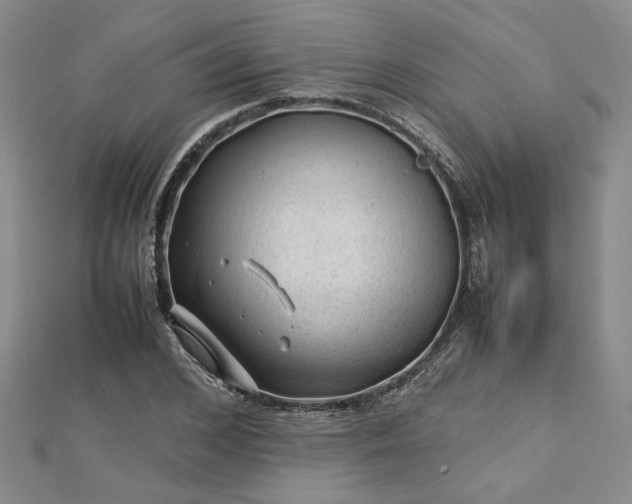 X0000112750976200909031523