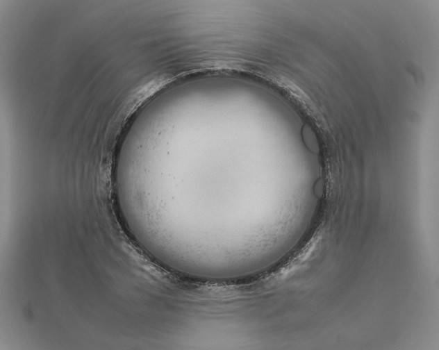 X0000112750977200909031523