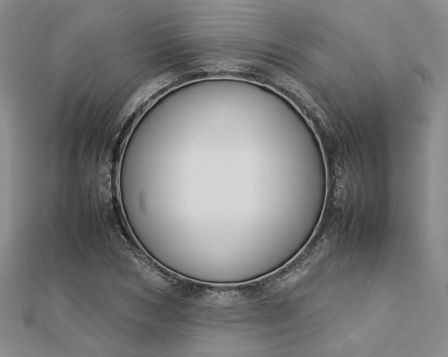 X0000112750978200909031523