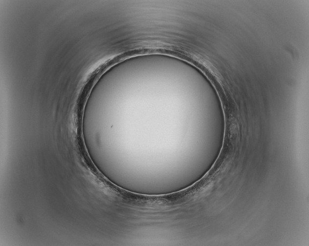 X0000112750979200909031523