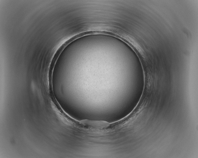 X0000112750980200909031523