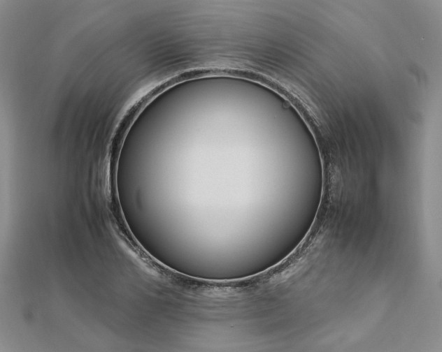 X0000112750982200909031523