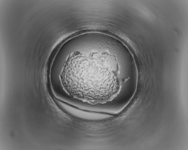 X0000112750983200909031523