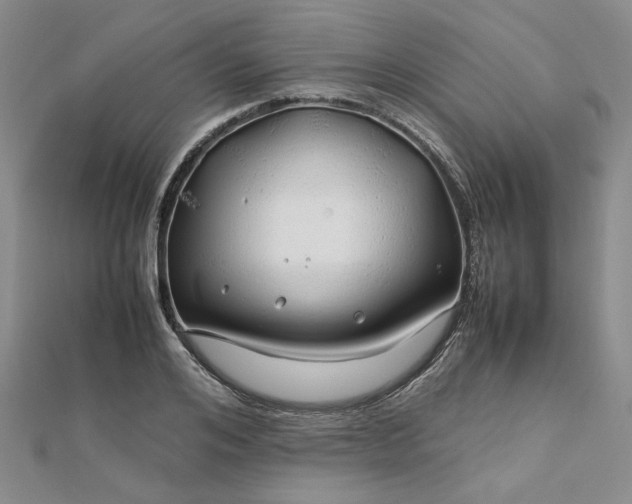 X0000112750984200909031523