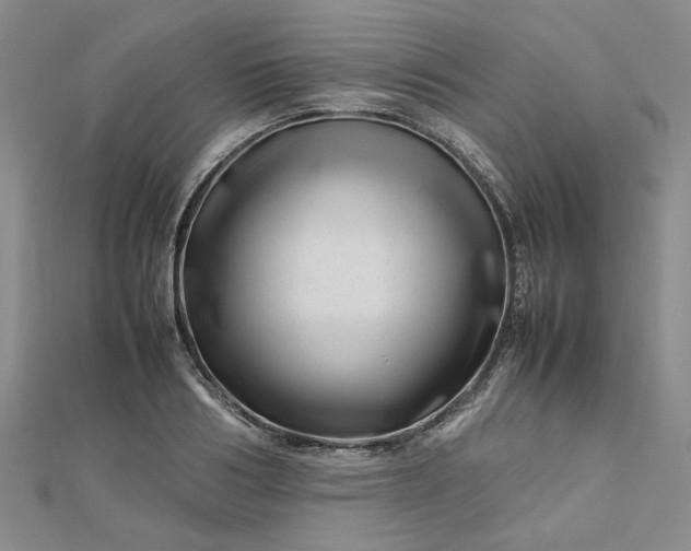 X0000112750986200909031523