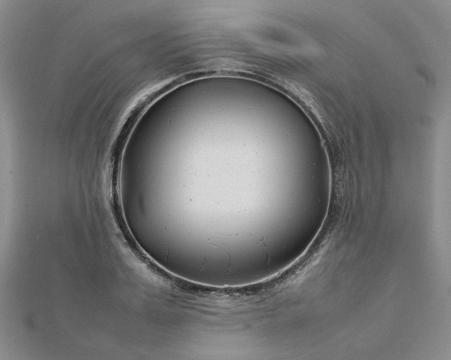 X0000112750987200909031523