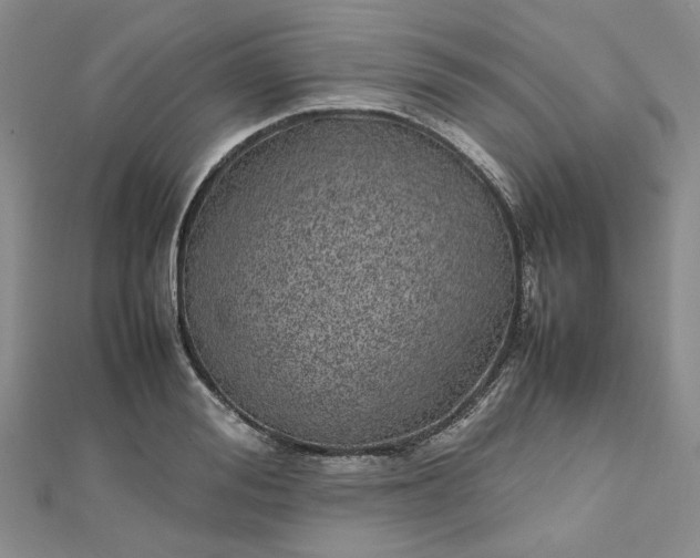 X0000112750988200909031523