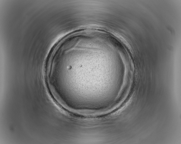 X0000112750989200909031523