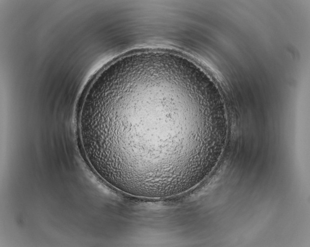 X0000112750990200909031523