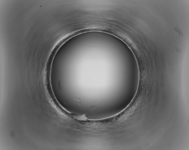 X0000112750991200909031523