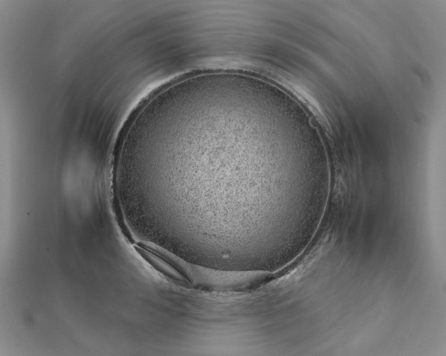 X0000112750992200909031523