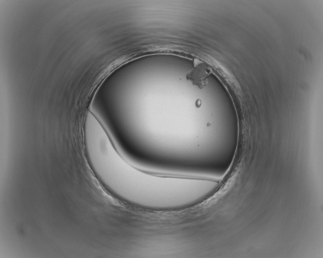 X0000112750993200909031523