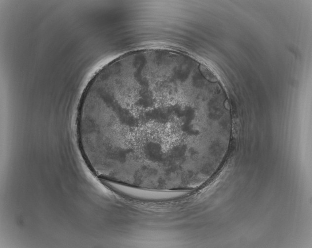 X0000112750995200909031523