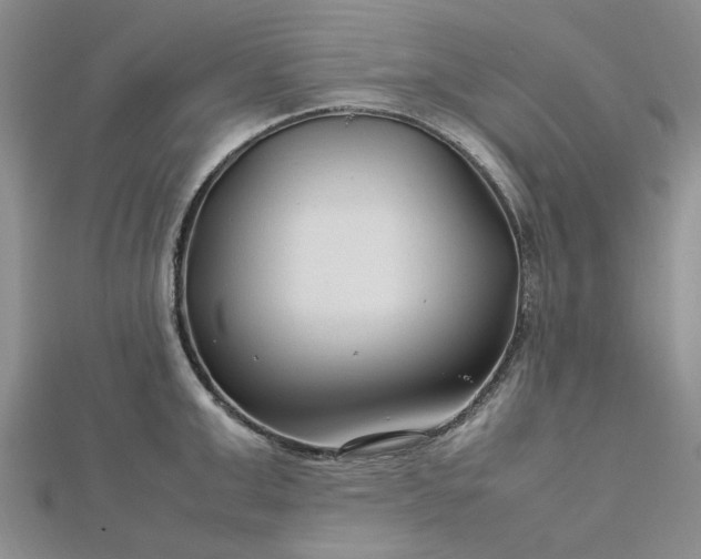 X0000112750999200909031522