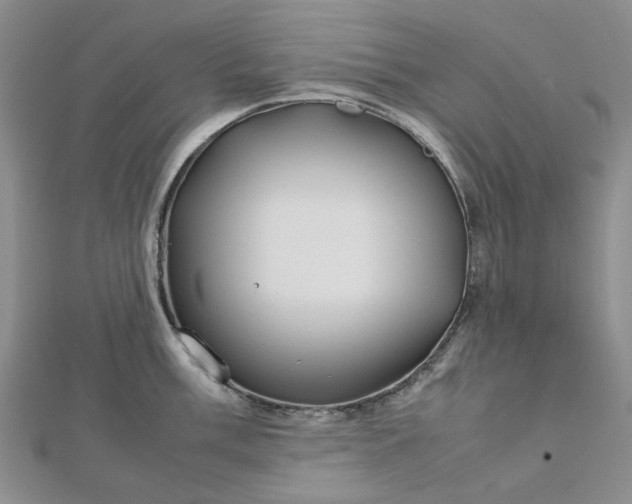 X0000112751003200909031522