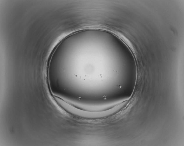 X0000112751005200909031522