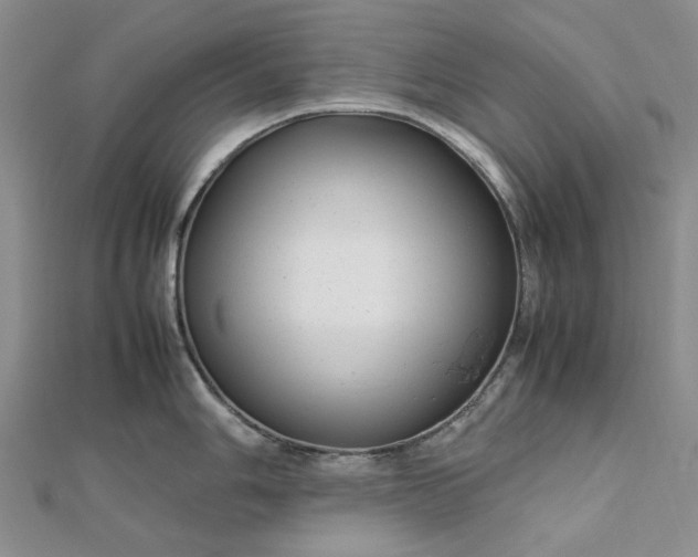 X0000112751006200909031522