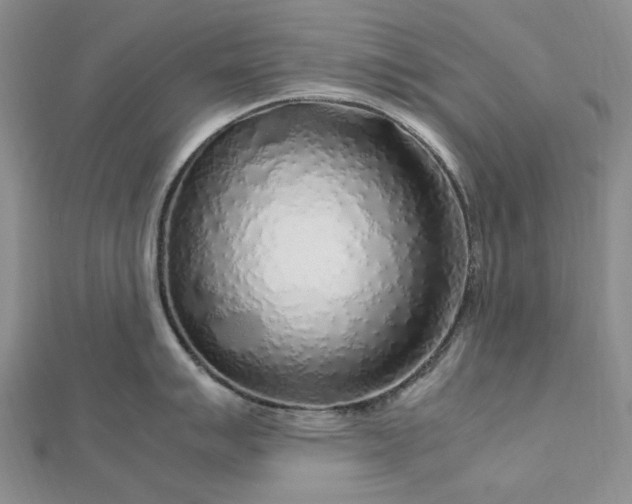 X0000112751007200909031522