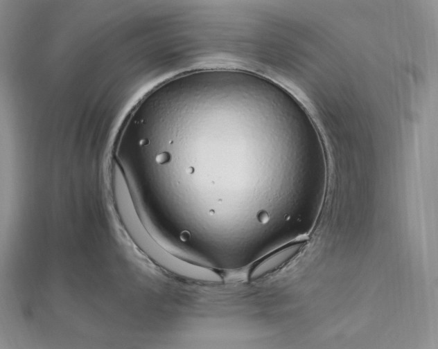 X0000112751008200909031522