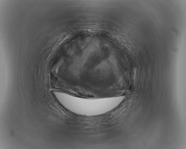 X0000112751009200909031522