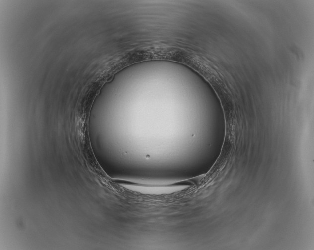 X0000112751010200909031522