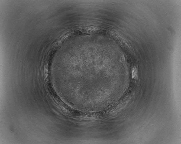 X0000112751011200909031522