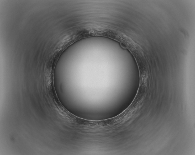 X0000112751012200909031522