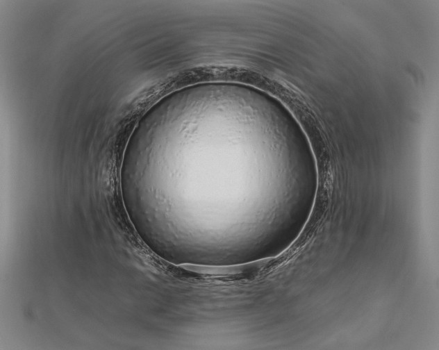 X0000112751014200909031522