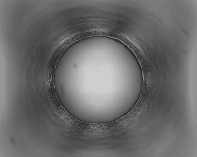 X0000112751015200909031522