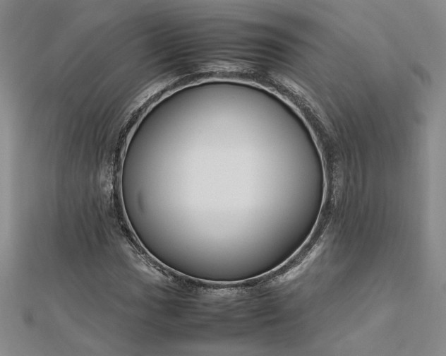 X0000112751017200909031522