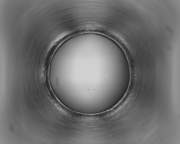 X0000112751018200909031522