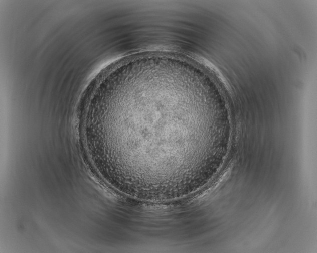 X0000112751019200909031522