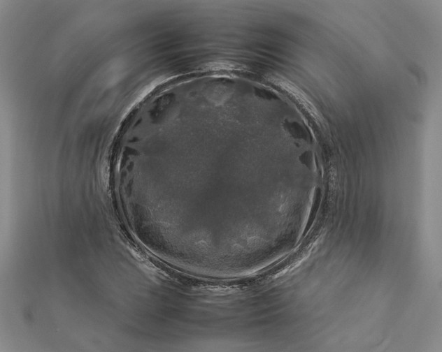 X0000112751023200909031522