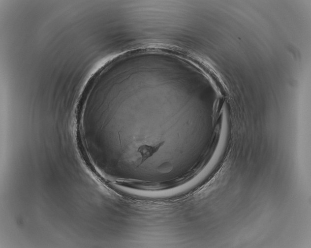 X0000112751024200909031522