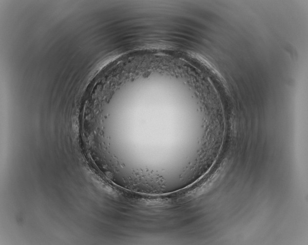 X0000112751025200909031522