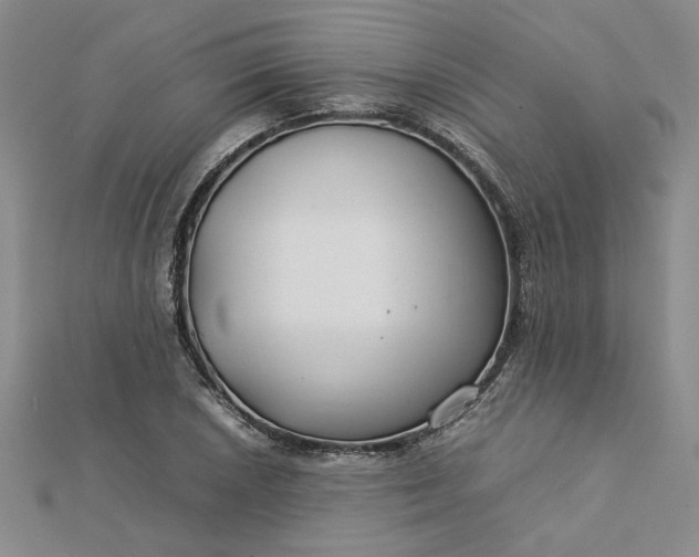 X0000112751026200909031522