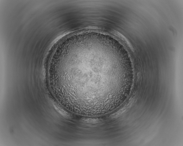 X0000112751027200909031522