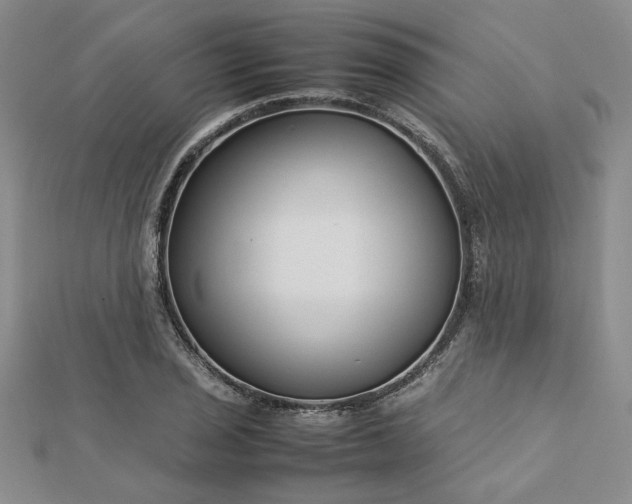 X0000112751029200909031522