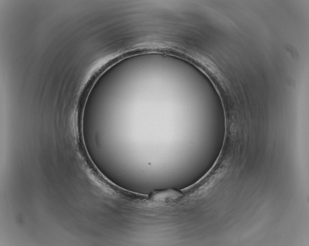 X0000112751030200909031522