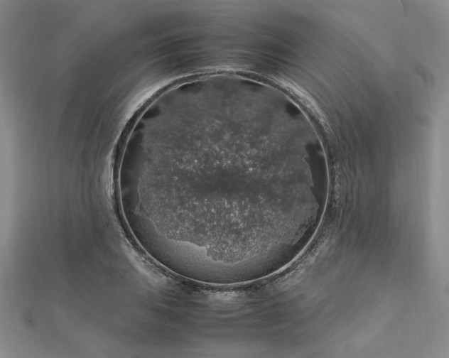 X0000112751031200909031522