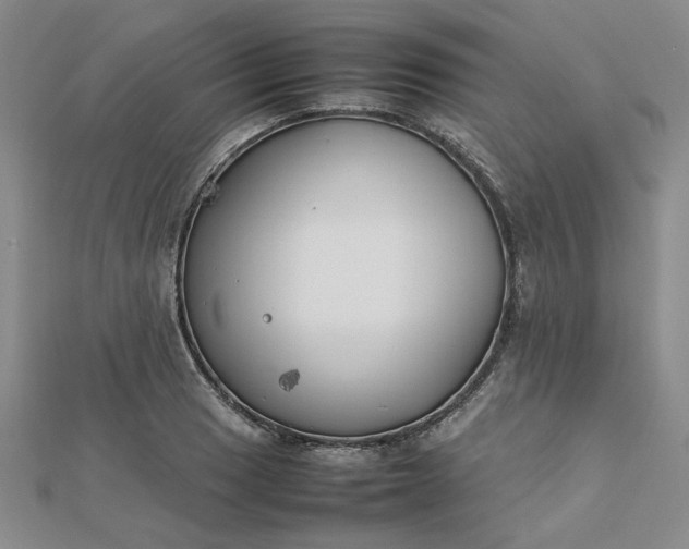 X0000112751033200909031522