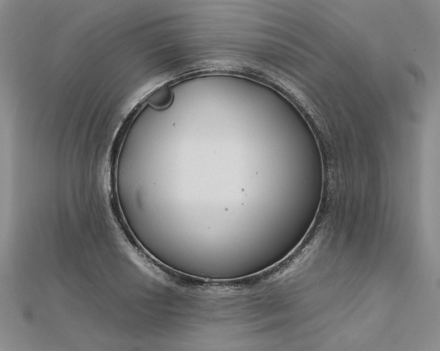 X0000112751034200909031522