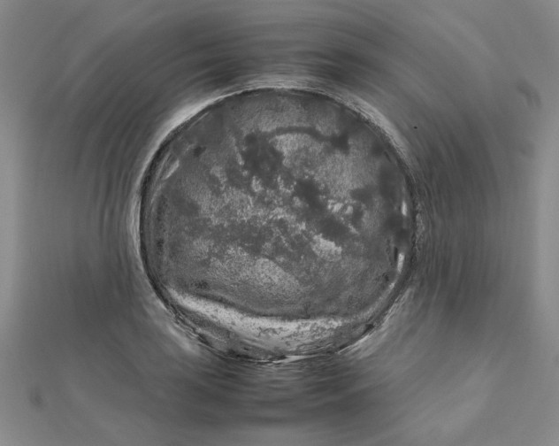 X0000112751035200909031522